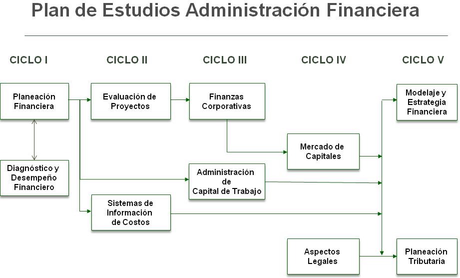 Management specialization study plan